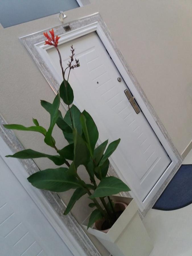 Atina Lux Hostel Leskovac  Kültér fotó